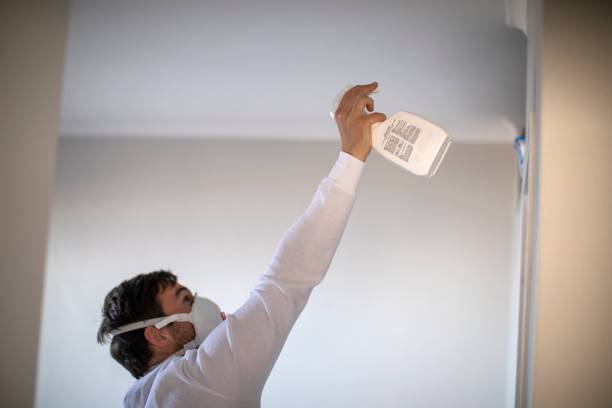 Best Home Mold Removal  in Tatum, TX