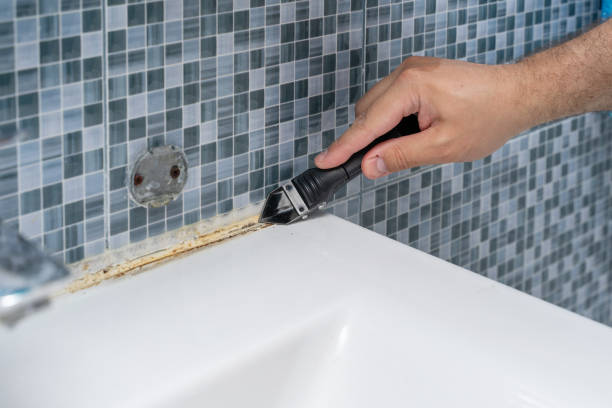 Best Mold Testing  in Tatum, TX